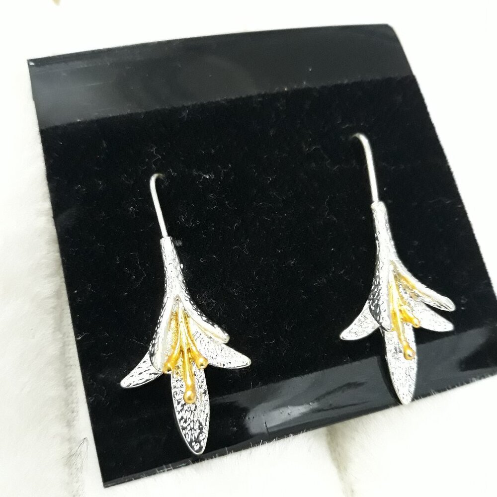 Beautiful Silver Dangle Earrings